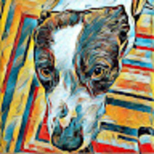 Meet your Posher, Doug